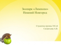 Презентация Зоопарк Лимпопо формировать у детей представление о родном городе