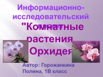 Окружающий мир. Тема: Уход за комнатными растениями