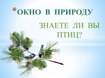 Презентация по биологии для викторины Окно в природу