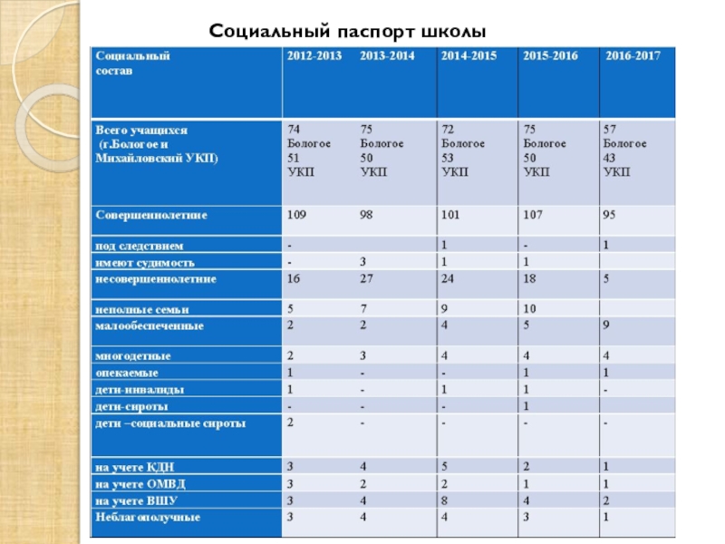 Социальный паспорт организации образец