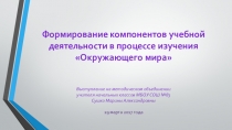 Формирование компонентов учебной деятельности в процессе изучения Окружающего мира