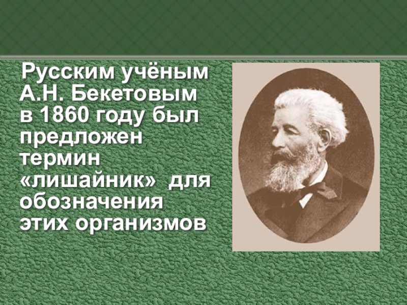 Предложен термин. Русский ученый Бекетов. Ученые изучавшие лишайники. Кем и когда был предложен термин лишайники ученый. Ученый который ввел термин Lichen.