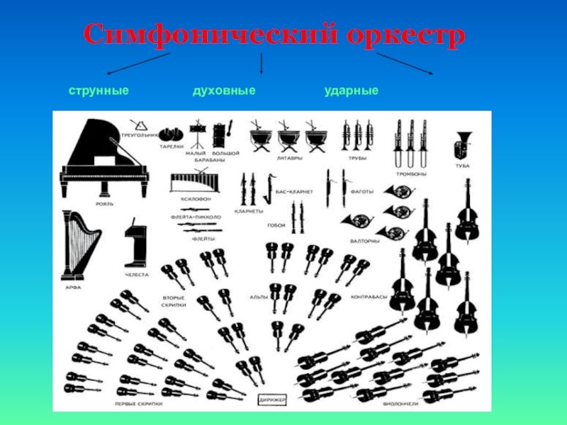 Состав симфонического оркестра. Состав струнного оркестра. Оркестр народных инструментов. Состав оркестра русских народных инструментов.