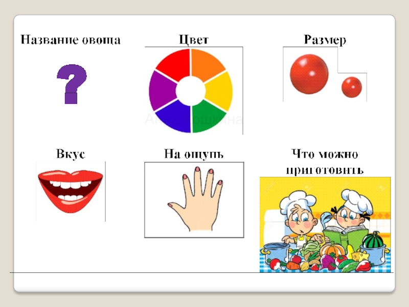 Схема описания овощей для дошкольников