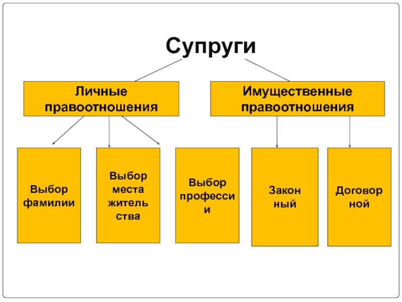 Проект по обществознанию 9 класс на тему семейные правоотношения