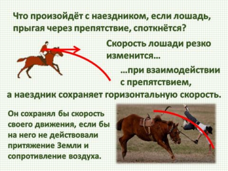 Скорость человека лошади. Фазы прыжка лошади. Фазы прыжка лошади через барьер. Лошадь резко остановилась.