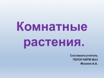 Презентация по окружающему миру на тему Комнатные растения. Традесканция (3 класс, дети с ТМНР)