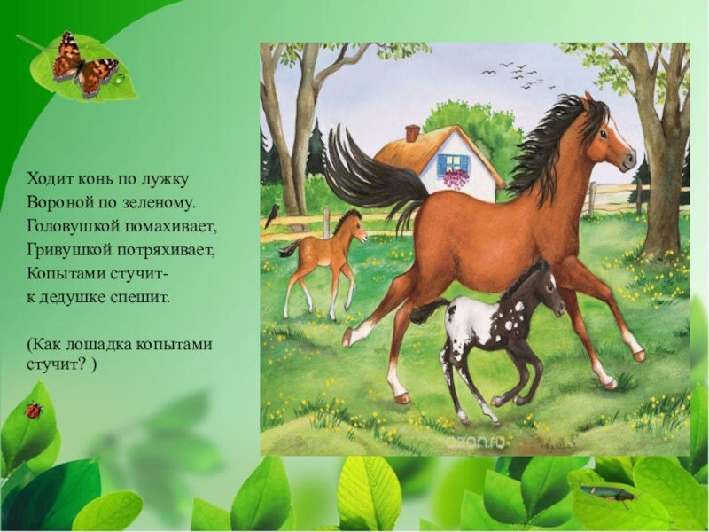 Конем ходи. Ходят кони. Ходит конь по бережку вороной по зеленому. Как лошадки ходят. Как ходит лошадь.