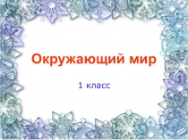 Прузентация по окружающему миру на тему Где живут белые медведи? (1 класс)