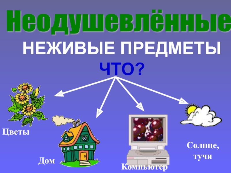 Жизнь неодушевленных предметов. Цветы в неодушевленных предметах. Неживые предметы. Цветок неодушевленный. Какие бывают неживые предметы.