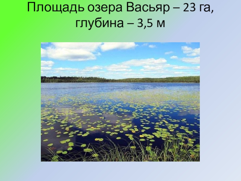 Территории озер. Площадь озера. Глубина озера Пидьмозеро. Озёра на территории нашей страны. Самые большие озера на территории СССР.