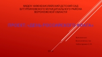 Презентация проекта День Российского Флага