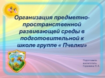 Организация предметно-пространственной развивающей среды в подготовительной к школе группе  Пчелки