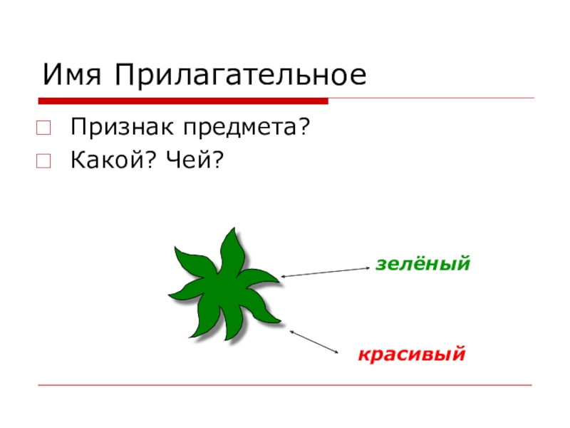 Презентация морфологический анализ имен прилагательных 5 класс. Имя прилагательное признак предмета. Зеленый прилагательное. Зелённый чей. Имя прилагательное зеленое.