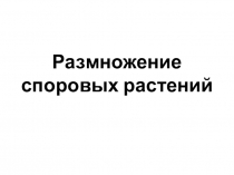 Презентация по биологии для 6 класса