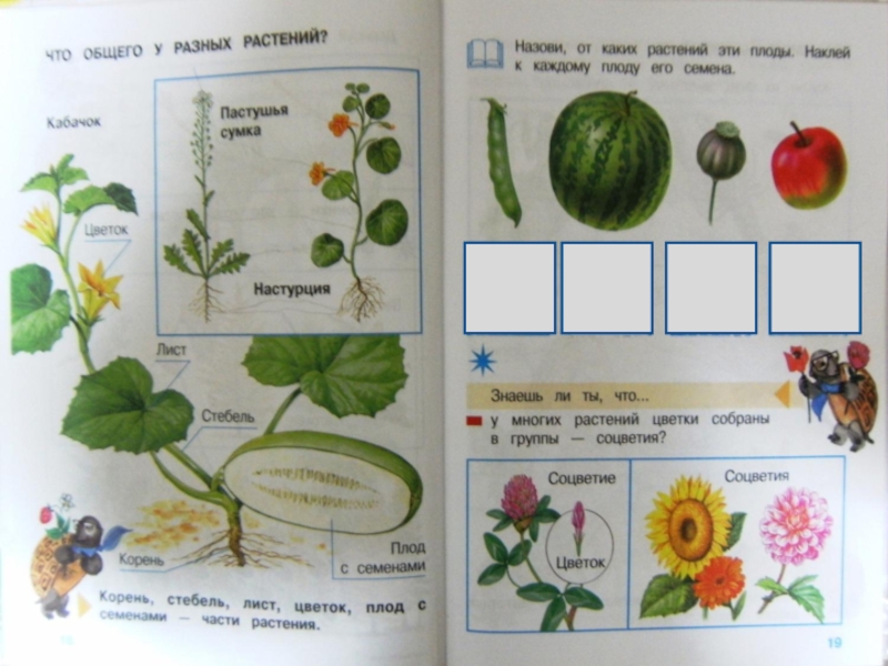 Презентация по окружающему миру 1 класс школа 1