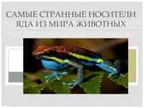 Самые странные носители яда из мира животных