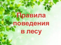 Презентация для детей старшего дошкольного возраста Правила поведения в лесу