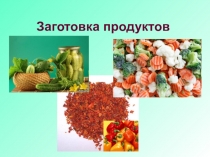 Презентация по технологии на тему Заготовка продуктов  7 класс