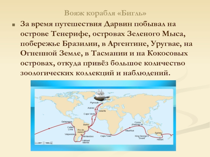 Кругосветное путешествие на корабле бигль. Чарльз Дарвин кругосветное путешествие на судне Бигль. Чарльз Дарвин его путешествие на корабле Бигль. Маршрут Чарльза Дарвина на корабле Бигль. Карта путешествия Чарльза Дарвина на корабле Бигль.