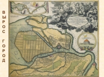 Презентация по истории Санкт-Петербурга на тему Вырос город... (7 класс)