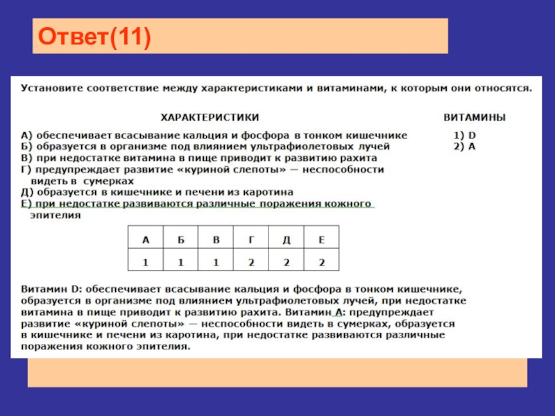 Ответы б 11 3