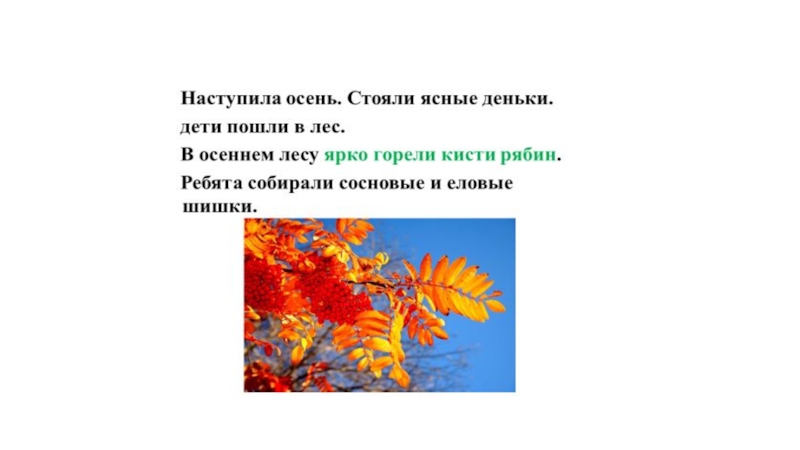 Осень настала. Наступила осень стояли ясные деньки. Осень наступила. Наступила осень предложения. Наступила осень стояли ясные деньки дети пошли в лес.