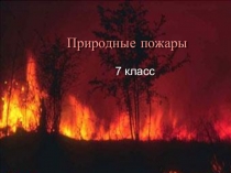 Презентация по ОБЖ на тему Природные пожары