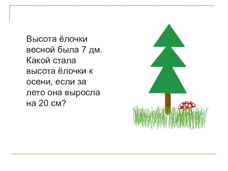 Ели 4 м. Высота елочки весной была. Высота елочки весной была 7. Высота елочки весной 7 дм. Высота ёлочки была 7дм.