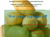Исследовательская работа  Что такое картофель