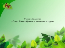 Презентация к уроку по теме Плоды в 6 классе