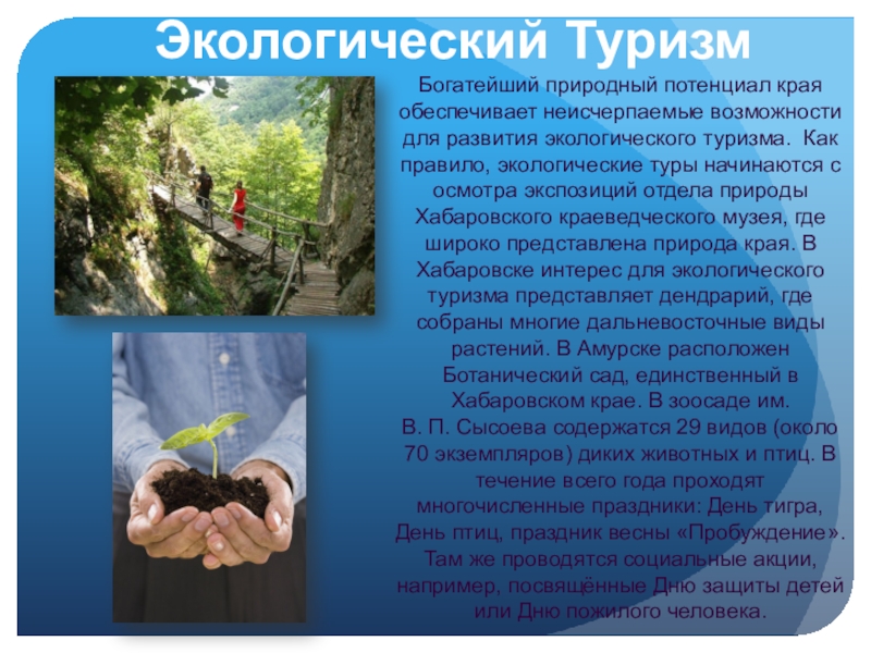 Реферат: Этнографический туризм в Хабаровском крае