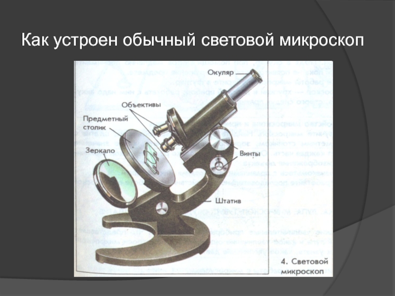 Презентация увеличительные приборы