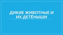 Презентация Дикие животные и их детёныши