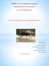 Презентация по окружающему миру Муха русских и якутских произведениях (1-6 класс)