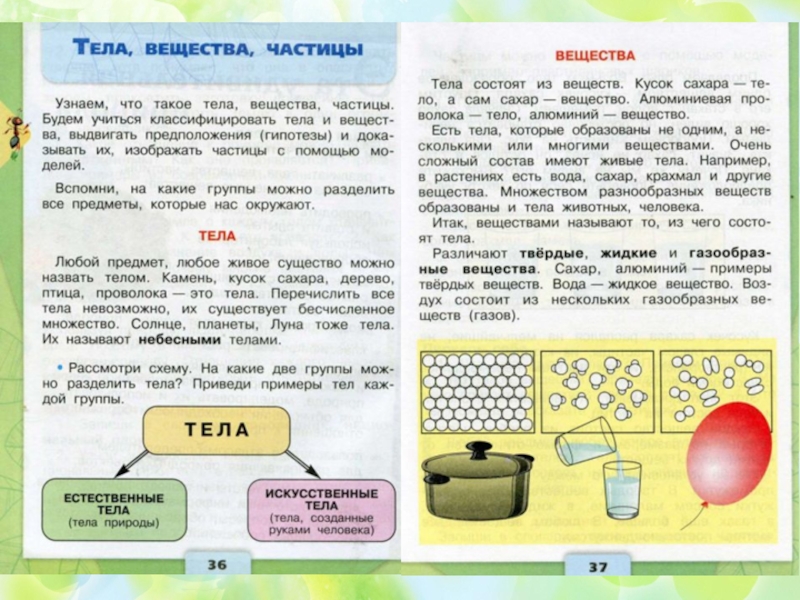 Проект по естествознанию 2 класс