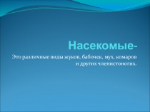 Презентация по биологии Насекомые
