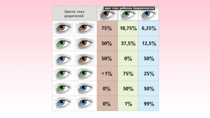 До скольки меняются глаза. Цвет глаз таблица. Цвет глаз у ребёнка от родителей генетика. Генетика глаз цвет глаз у ребенка. Схема цвета глаз родителей и детей.