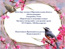 Презентация по русскому языку на тему: Перелетные птицы открытое занятие в средней группе