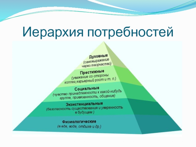 План по обществознанию потребности человека