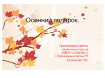 Презентация по технологии на тему Осенний подарок