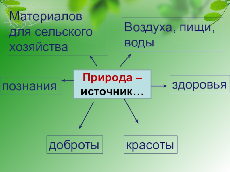 Проект как устроен мир 3 класс окружающий мир