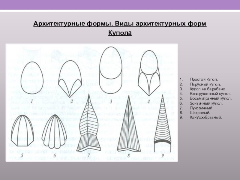 Виды форм. Виды архитектурных форм. Виды архитектурных форм купола. Формы куполов 3 вида. Виды форм в архитектуре.