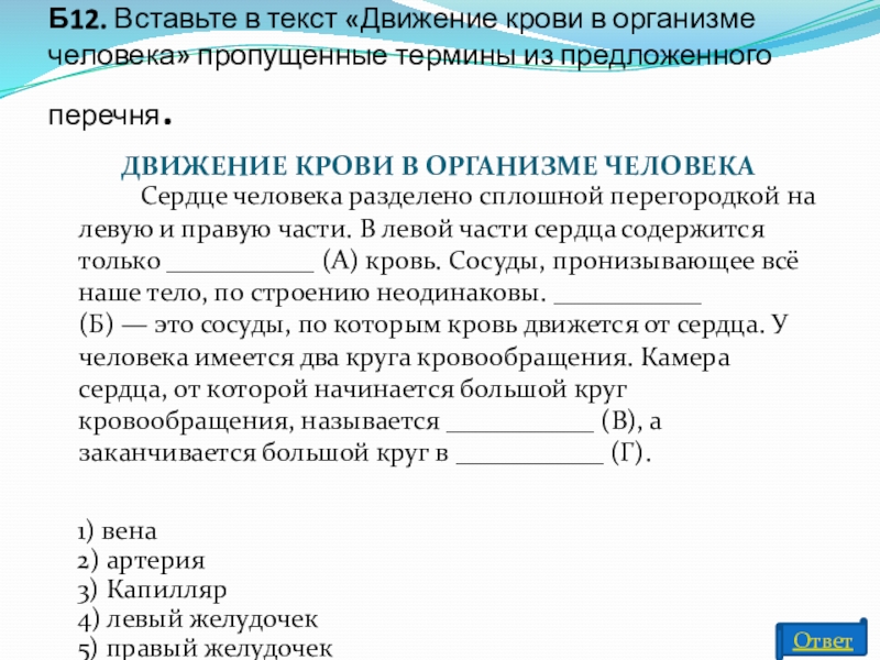 Вставьте в приведенный текст пропущенные термины