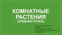 Комнатные растения (средняя группа)