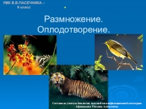 Презентация по биологии на тему Размножение (9 класс)