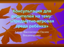 Консультация для родителей на тему: Предметно-игровая среда ребёнка