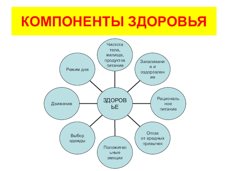 Здоровье определение компоненты здоровья. Компоненты здоровья. Составляющие компоненты здоровья. Перечислите основные компоненты здоровья. Компоненты здоровья схема.