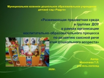 Развивающая предметная среда в группах ДОУ в рамках организации воспитательно-образовательного процесса по развитию связной речи детей дошкольного возраста