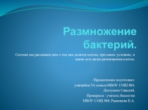Презентация  Как размножаются бактерии